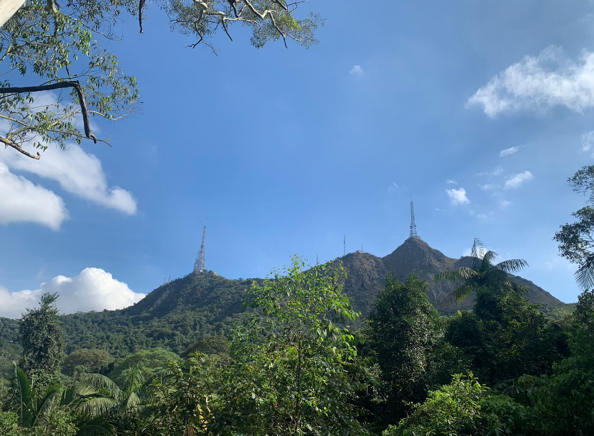 Vista do Monte